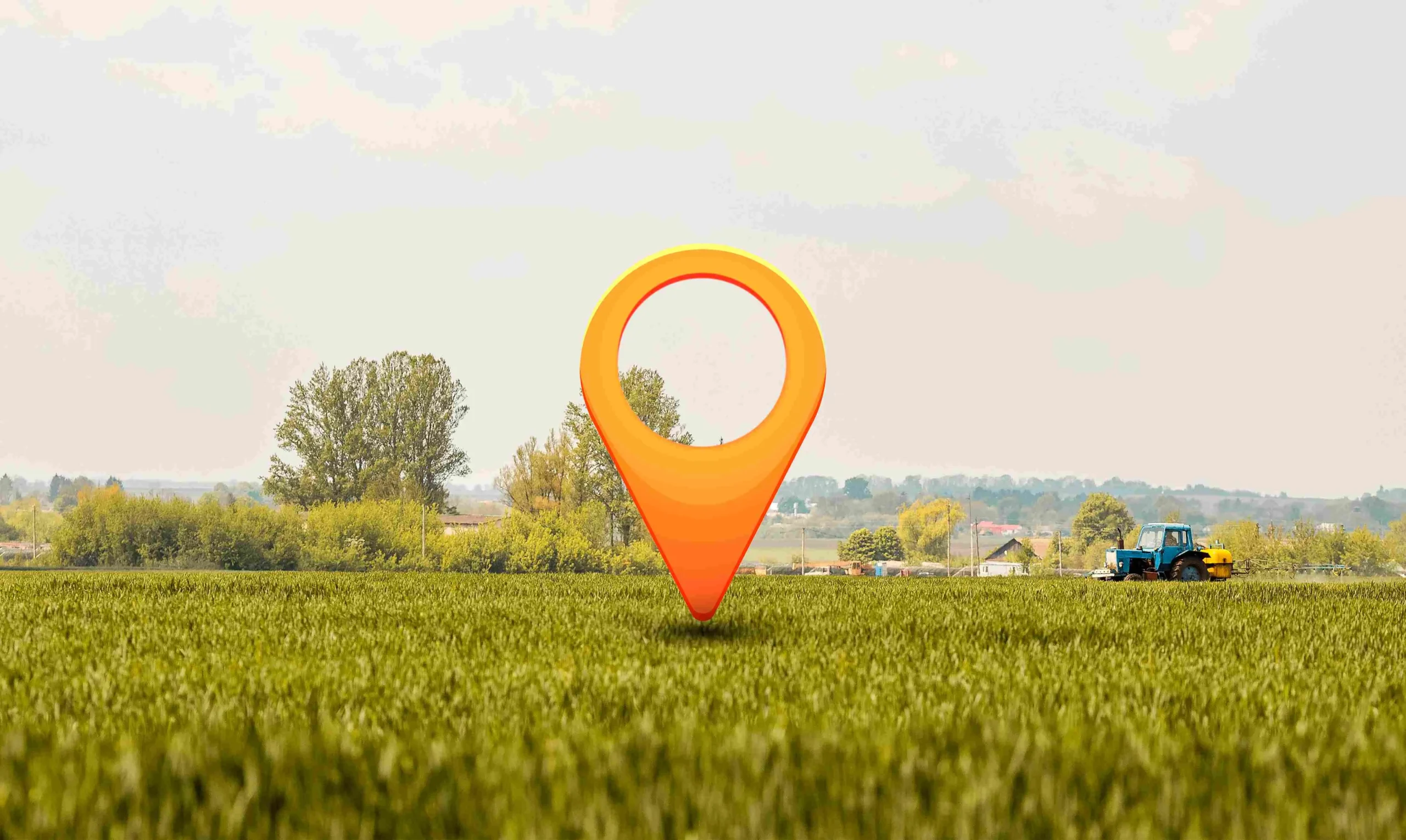 Our approach for local seo